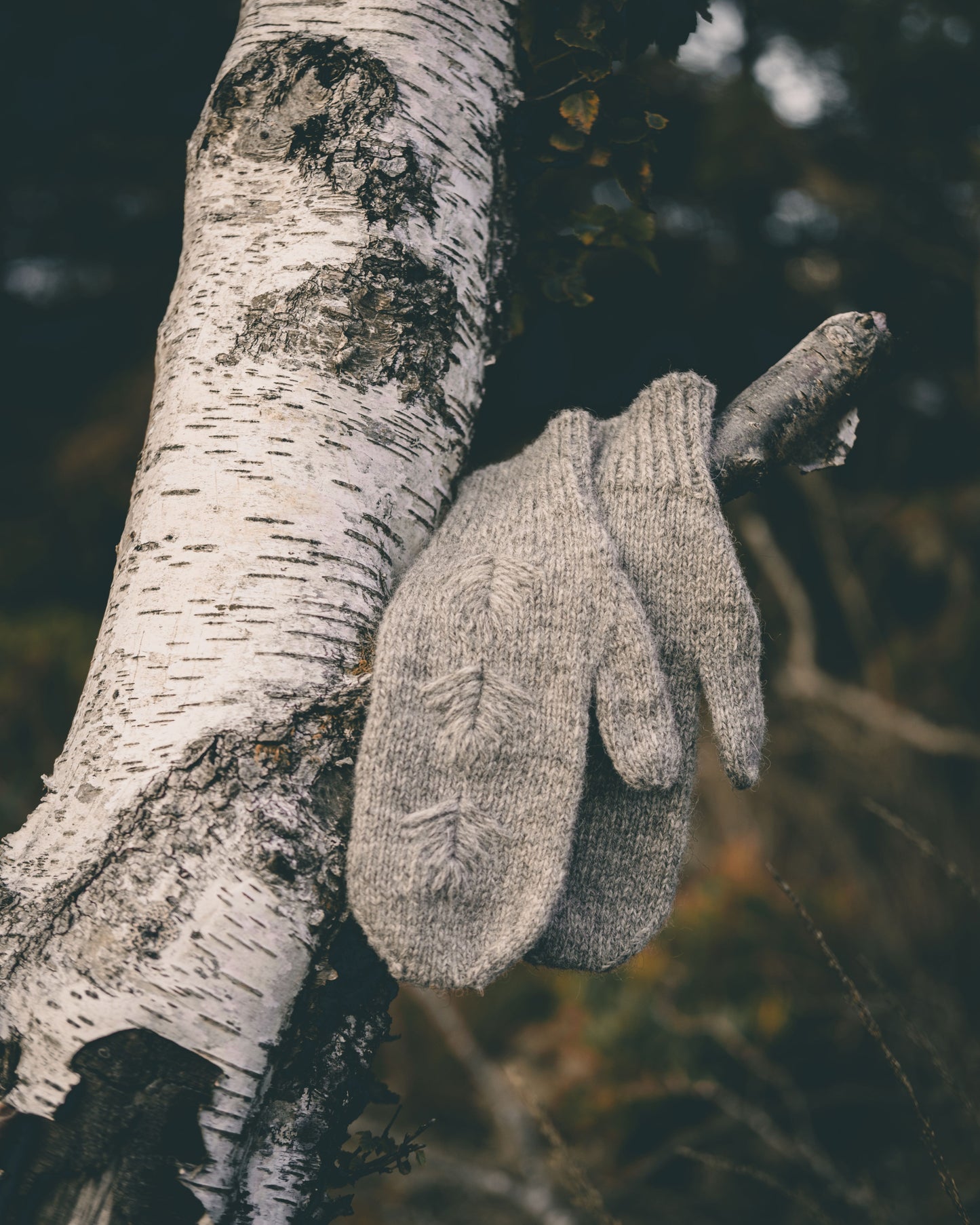 WOODLAND PATH MITTENS
